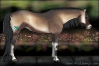 Horse Color:Brown Roan Onyx 
