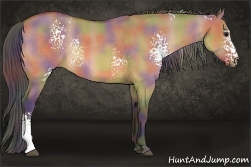 Horse Color:Nacre White Spotted Bay Dun