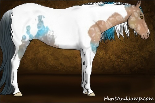 Horse Color:Sable Champagne Ice Tobiano Blanket