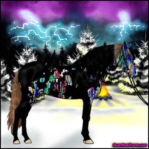 Horse Color:White Spotted Chestnut Ice Tobiano Appaloosa 