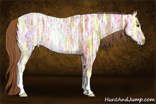 Horse Color:Chestnut Ice Rabicano 