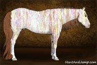 Horse Color:Chestnut Ice Rabicano