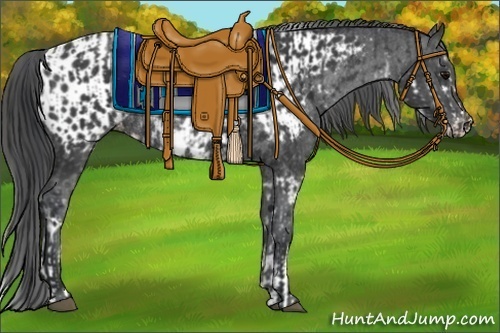 Horse Color:Black Sabino Appaloosa Rabicano  and Black Appaloosa Rabicano 
