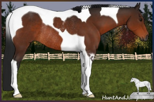 Horse Color:Gray Bay Tobiano Rabicano 