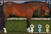 Horse Color:Gray Brown 