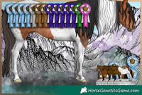 Horse Color:Bay Tobiano Rabicano 