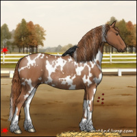 Horse Color:White Spotted Chestnut Rabicano 