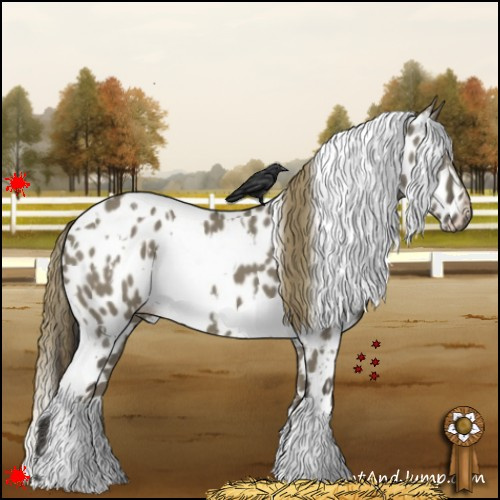 Horse Color:White Spotted Smoky Grullo Near Leopard 