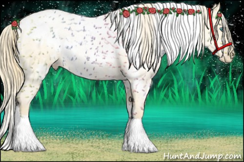 Horse Color:White Spotted Smoky Black Pearl