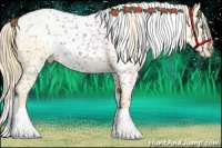 Horse Color:White Spotted Smoky Black Pearl