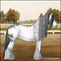 Horse Color:White Spotted Grullo Frame 