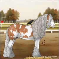 Horse Color:White Spotted Silver Bay Splash 