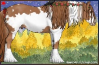 Horse Color:White Spotted Chestnut Frame 