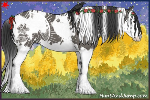 Horse Color:White Spotted Grullo Splash 