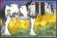 Horse Color:White Spotted Grullo Splash 