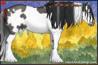 Horse Color:White Spotted Grullo Splash Frame