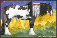 Horse Color:White Spotted Black Frame