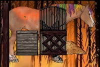 Horse Color:Painted Chestnut Sabino Appaloosa Rabicano