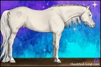 Horse Color:Cremello Splash Brindle