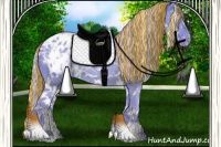 Horse Color:Painted Watercolor White Spotted Silver Black Blanket