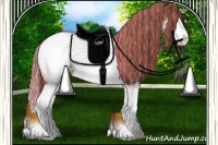 Horse Color:Painted Chestnut Ice Splash Snowcap 