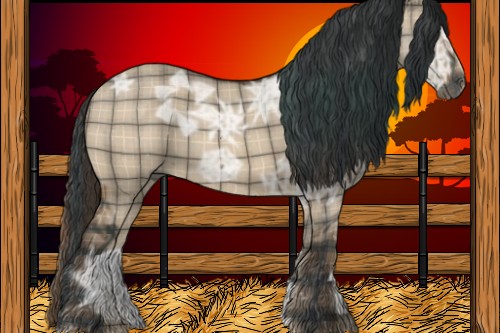 Horse Color:Plaid  Brown Ice Dun 