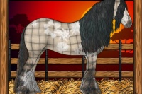 Horse Color:Plaid Brown Ice Dun