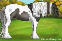 Horse Color:Smoky Black Tobiano 