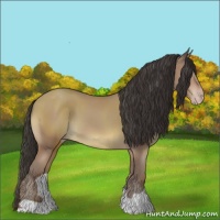 Horse Color:Sable Champagne 