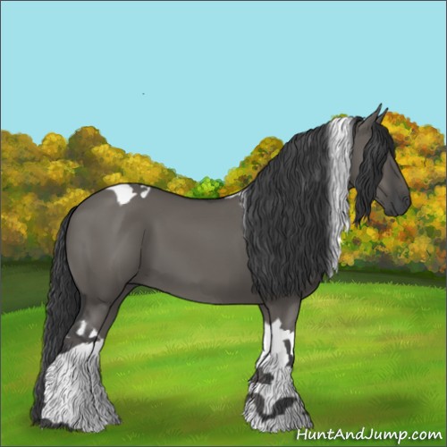 Horse Color:Grullo Tobiano