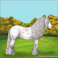 Horse Color:Plaid  White Spotted Silver Classic Champagne Dun Appaloosa 