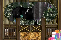 Horse Color:Brown Ice Onyx Tobiano Appaloosa