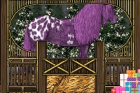 Horse Color:Watercolor Chestnut Ice Appaloosa 