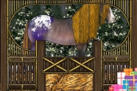 Horse Color:Painted Brown Sabino Appaloosa Rabicano