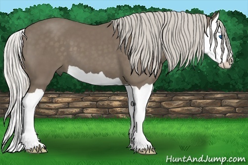 Horse Color:Silver Smoky Black Splash