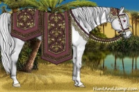 Horse Color:White Spotted Silver Bay Chinchilla