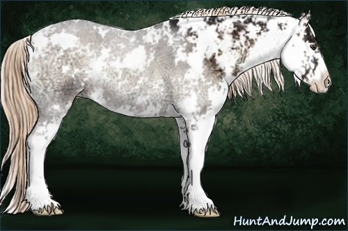 Horse Color:Liver Red Onyx Ice Sabino 