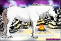 Horse Color:Red Onyx Sabino 