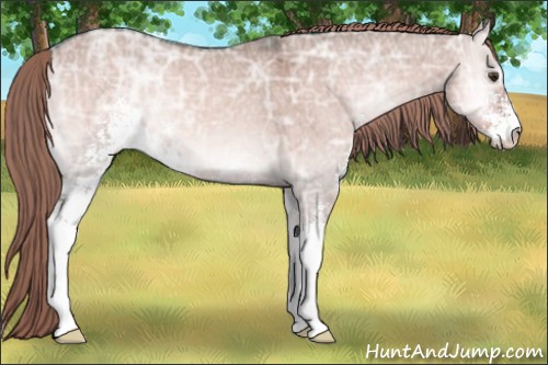 Horse Color:Watercolor Liver Red Dun Ice Onyx Sabino 