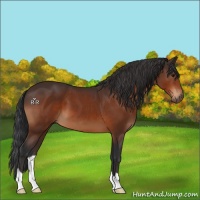 Horse Color:Brown 