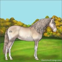 Horse Color:Chocolate Palomino Pearl Onyx