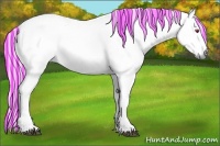 Horse Color:Painted Liver Chestnut Chinchilla