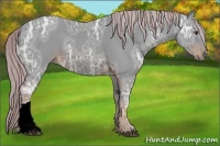 Horse Color:Watercolor Chocolate Palomino Ice 