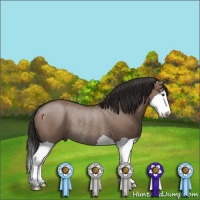 Horse Color:Liver Red Dun Splash Rabicano 