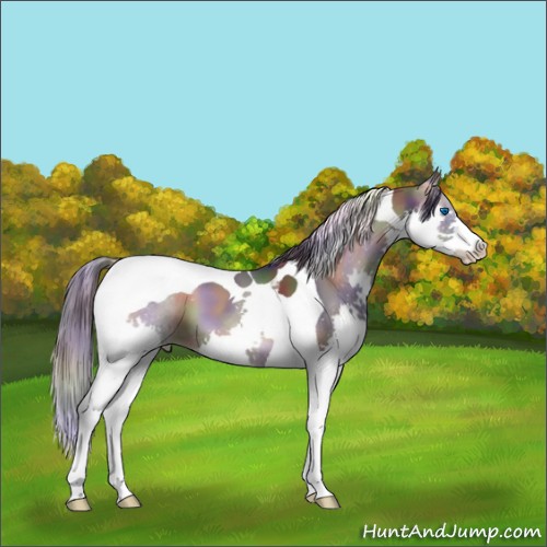 Horse Color:Nacre Blue Onyx Splash Tobiano