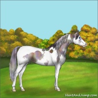 Horse Color:Nacre Blue Onyx Splash Tobiano 