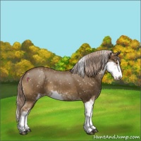 Horse Color:Chocolate Palomino Sabino Snowflake Varnish 