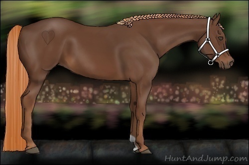 Horse Color:Chestnut 