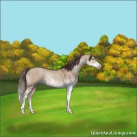 Horse Color:Classic Champagne Dun Sabino 
