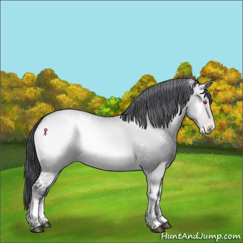 Horse Color:White Spotted Brown Chinchilla Pearl Onyx